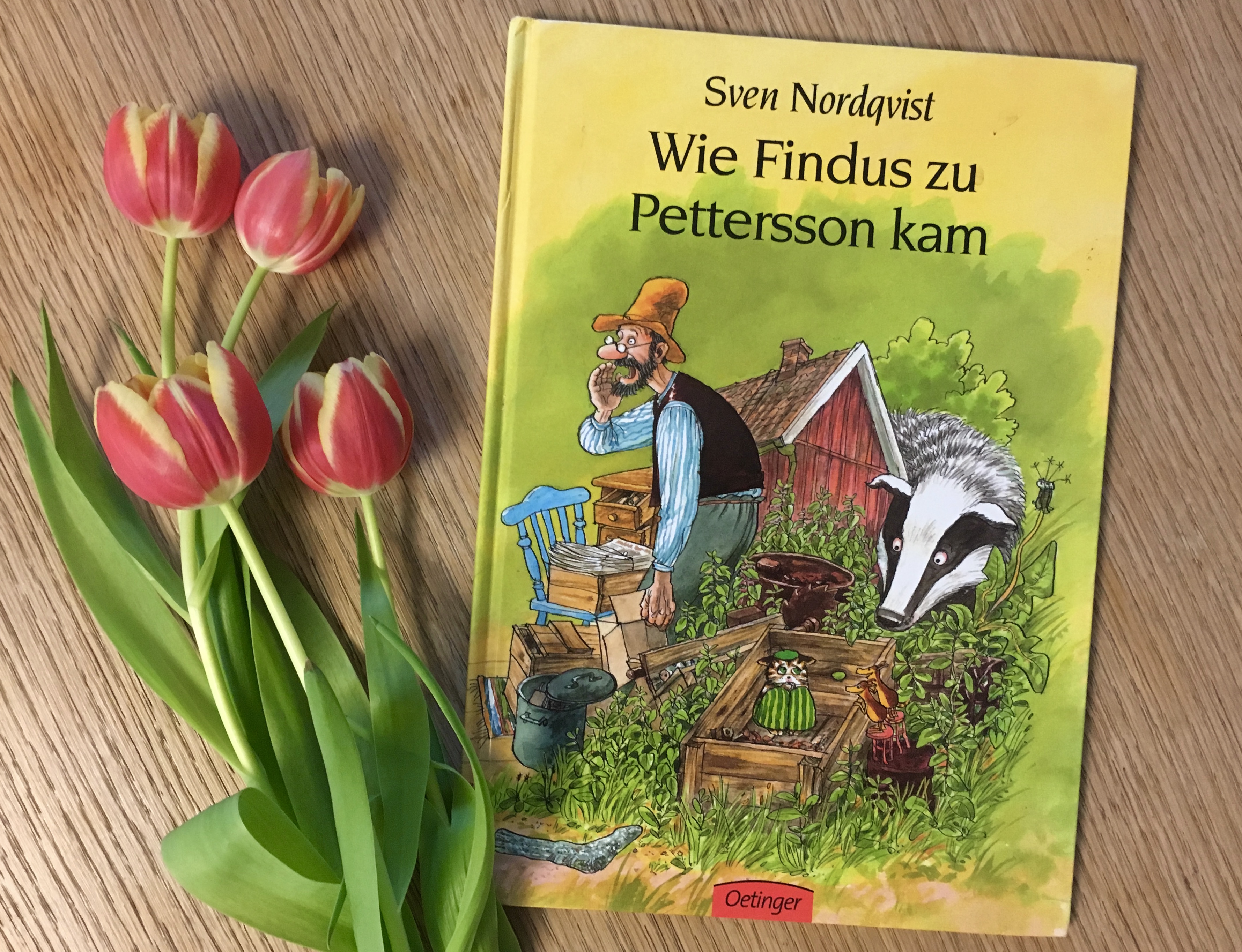 Wie Findus zu Pettersson kam von Sven Nordquist