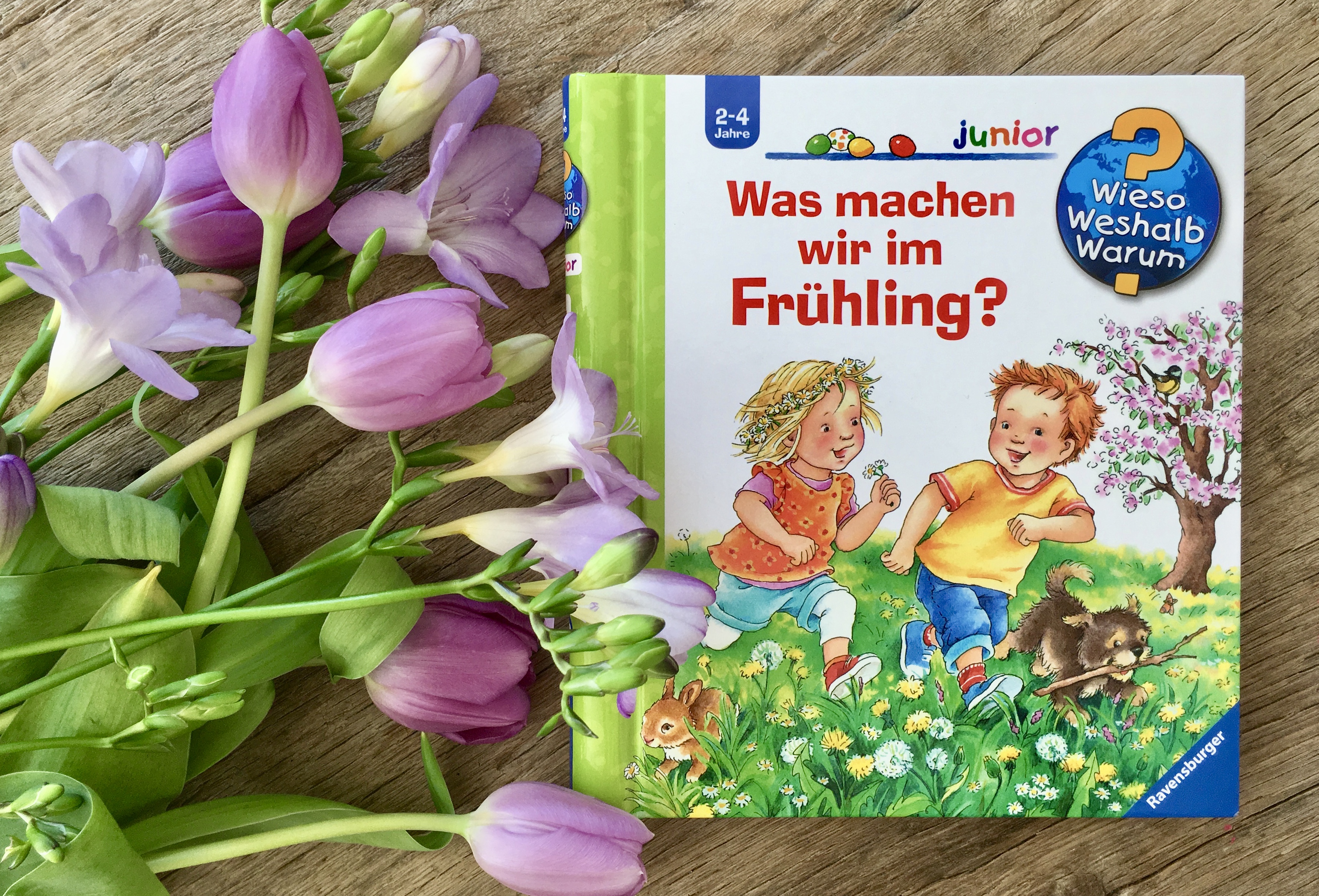 Was machen wir im Frühling aus der Reihe Wieso? Weshalb? Warum? von Andrea Erne und Susanne Sczesny