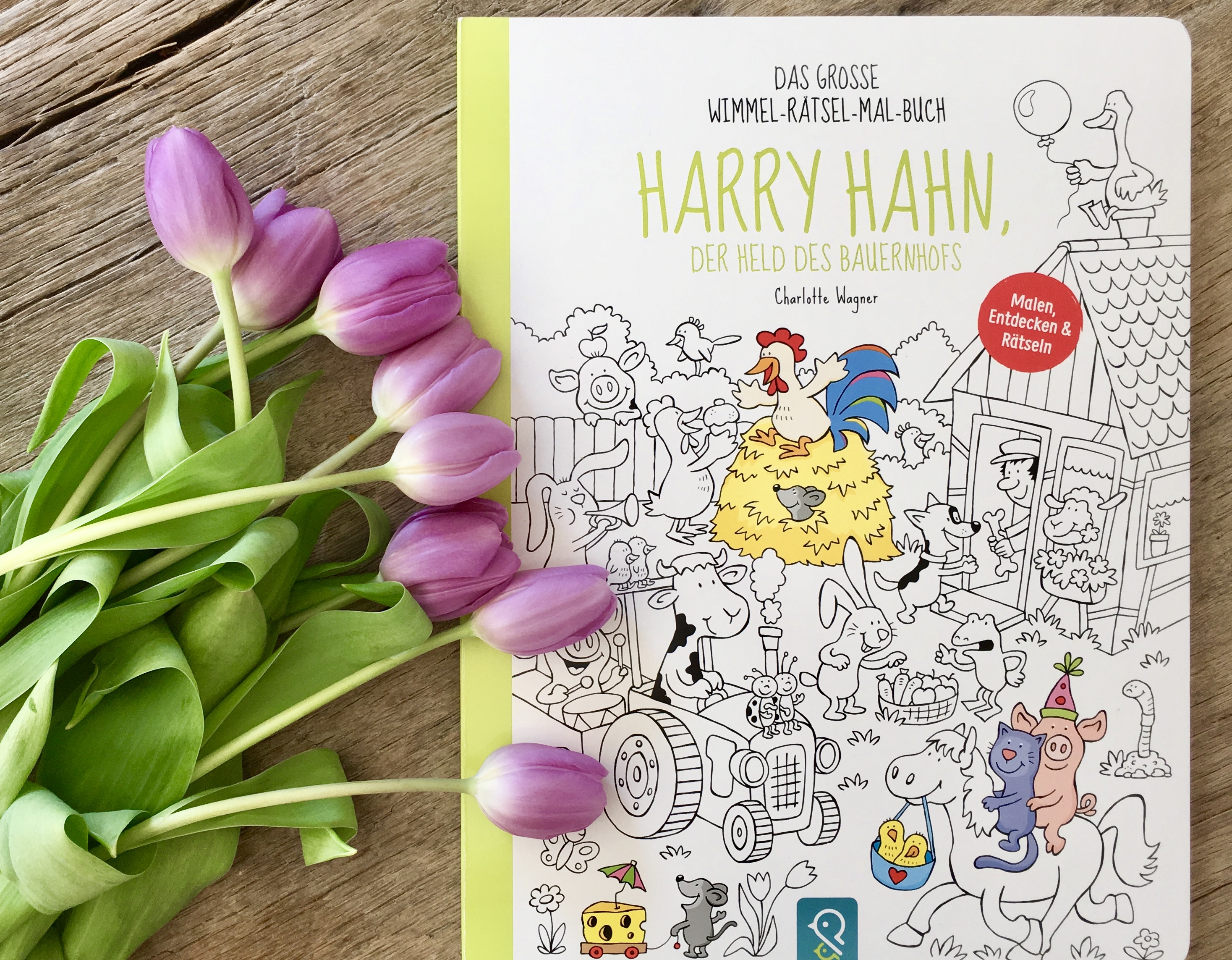 Harry Hahn, der Held des Bauernhofs von Charlotte Wagner 