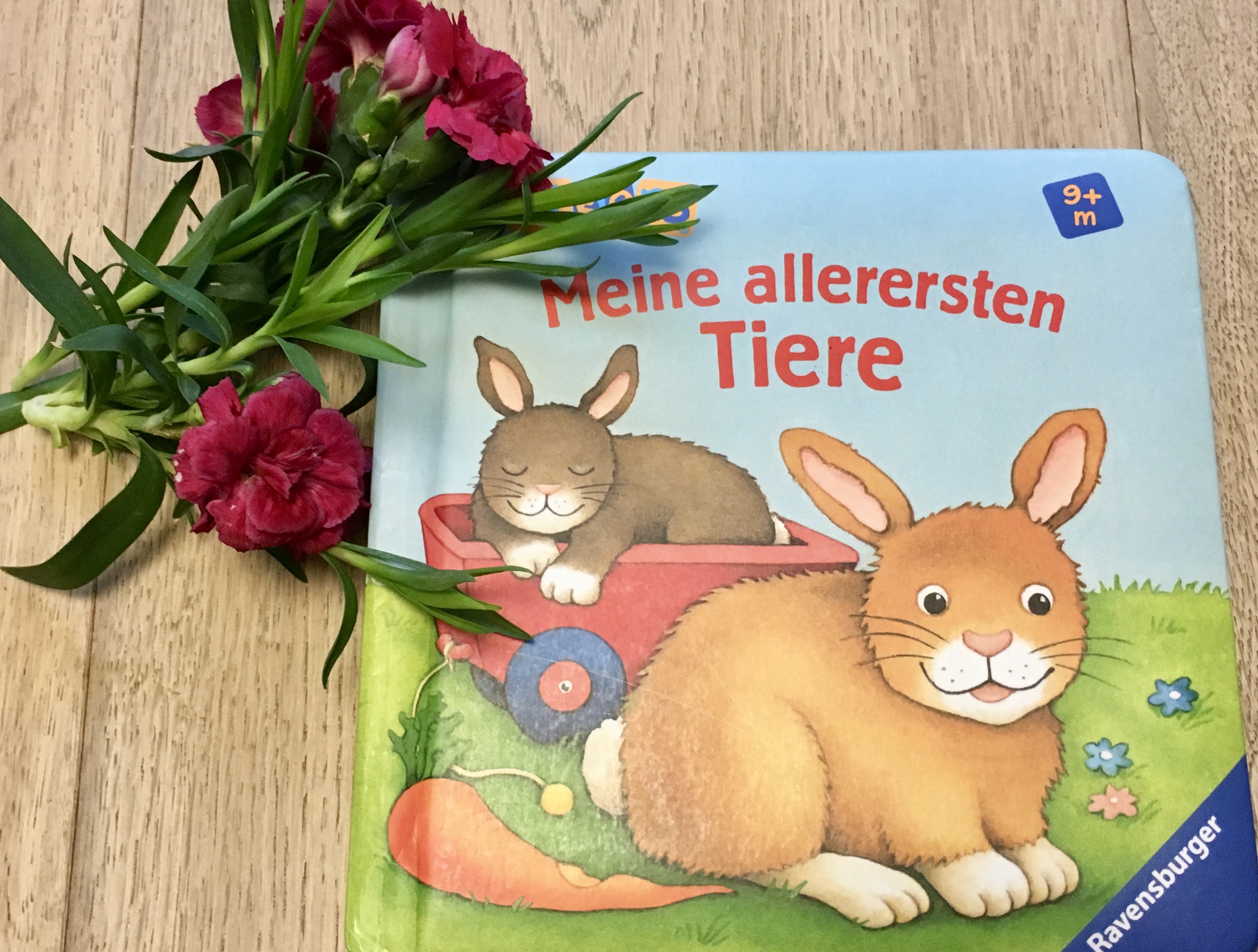 Meine allerersten Tiere von Monika Neubacher-Fesser