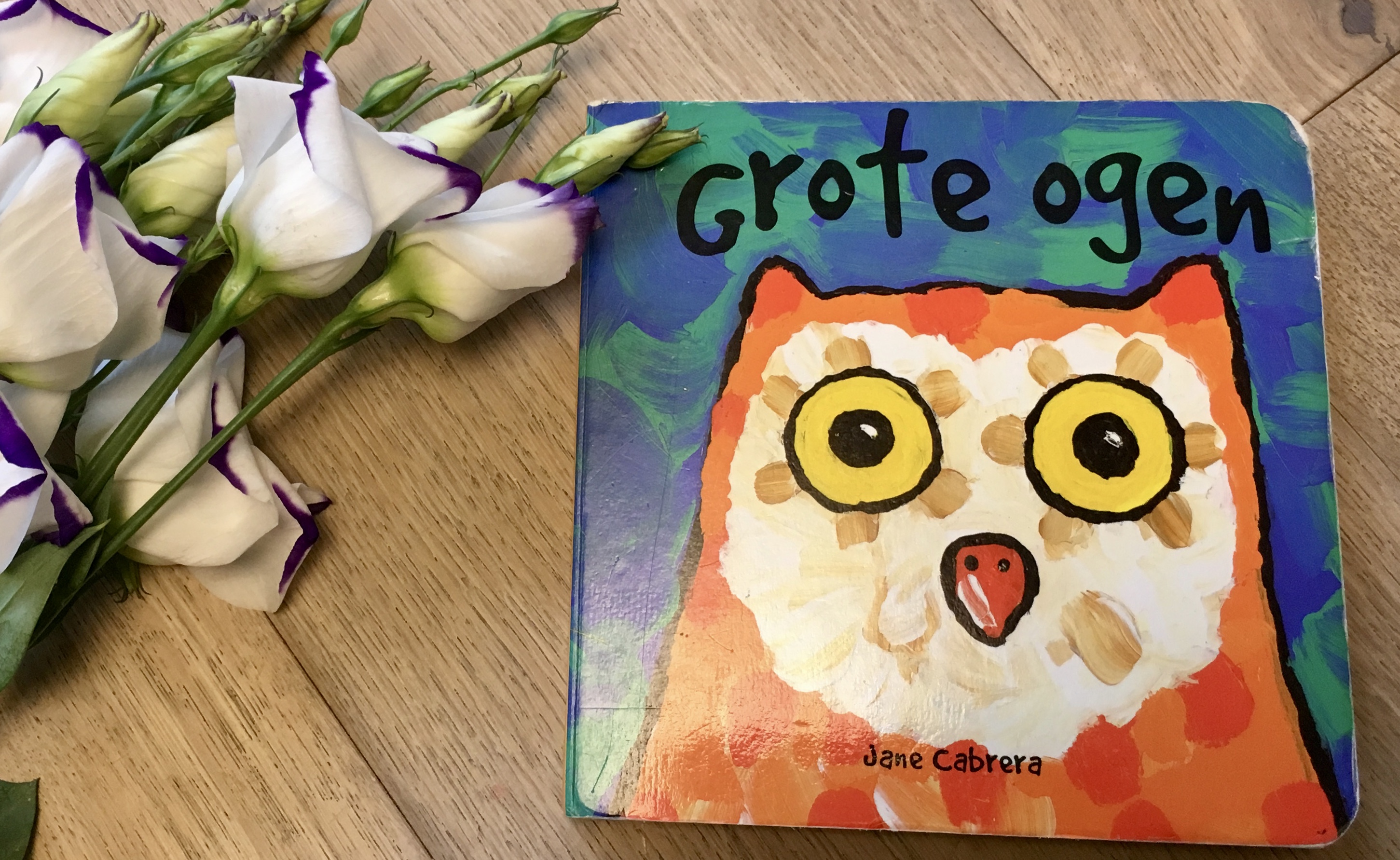 Grote Ogen - Große Augen von Jane Cabrera