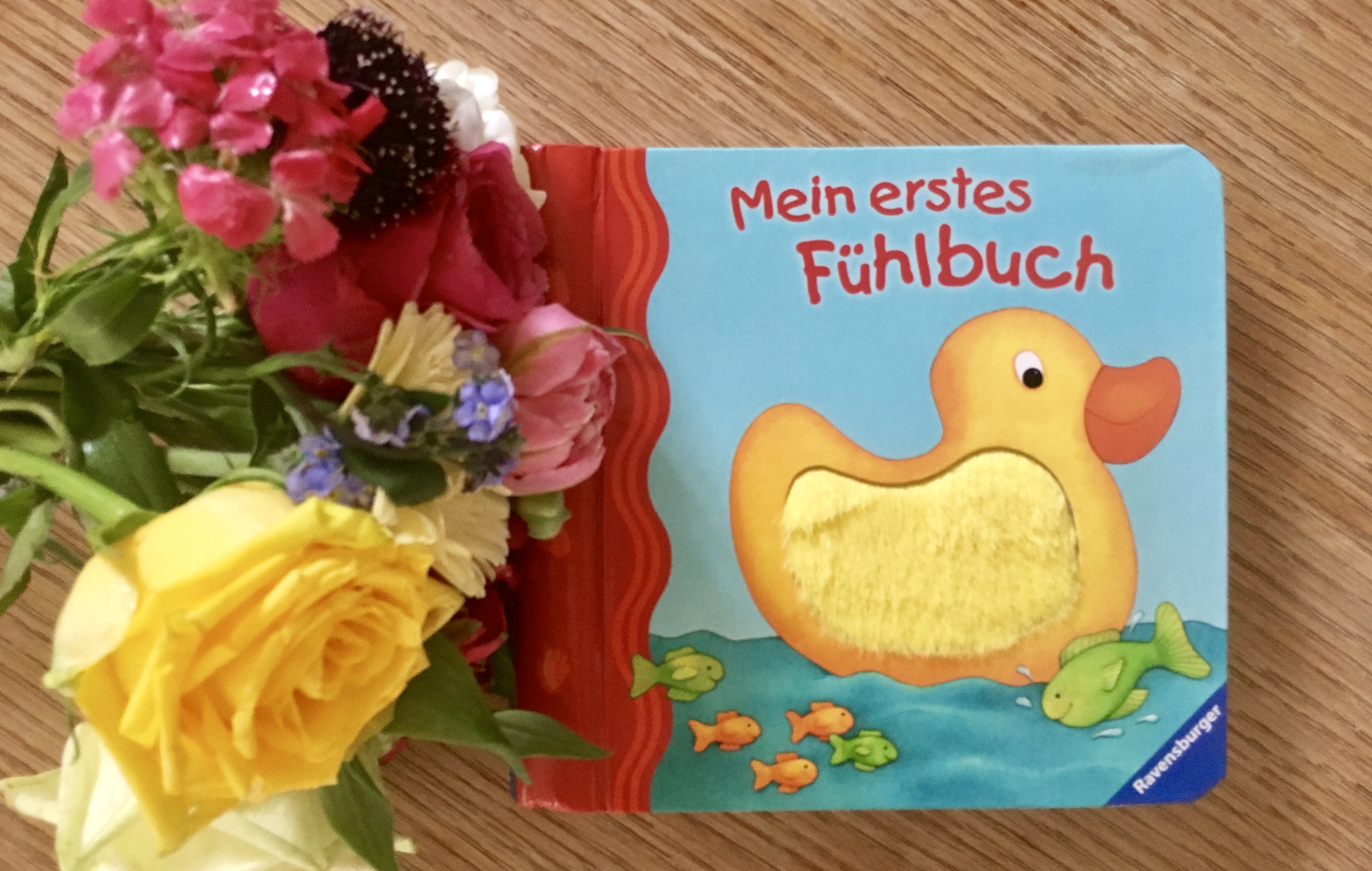 Mein erstes Fühlbuch von Sandra Grimm (Text) Monika Neubacher-Fesser (Illustration)