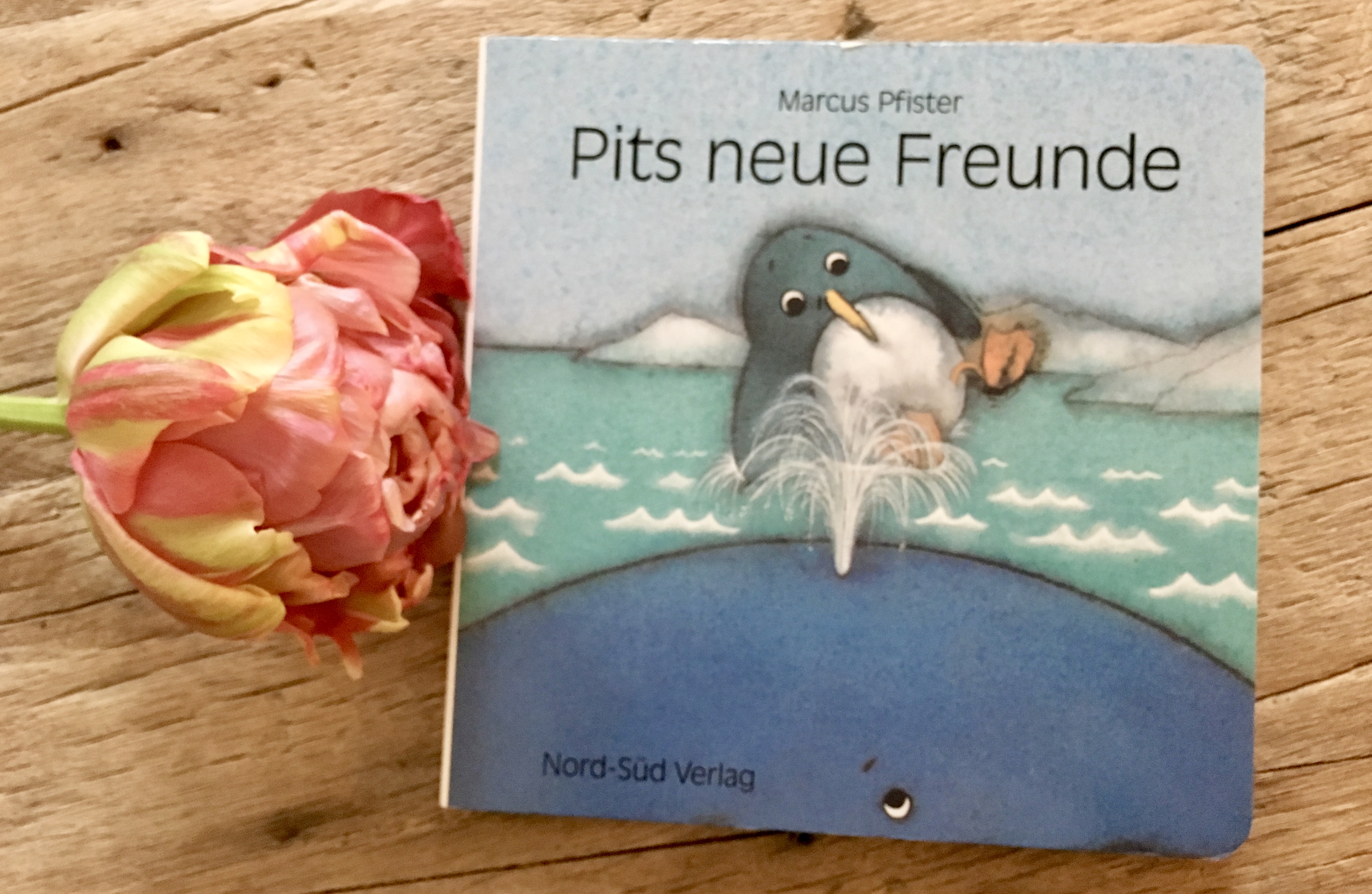 Pits neue Freunde von Marcus Pfister