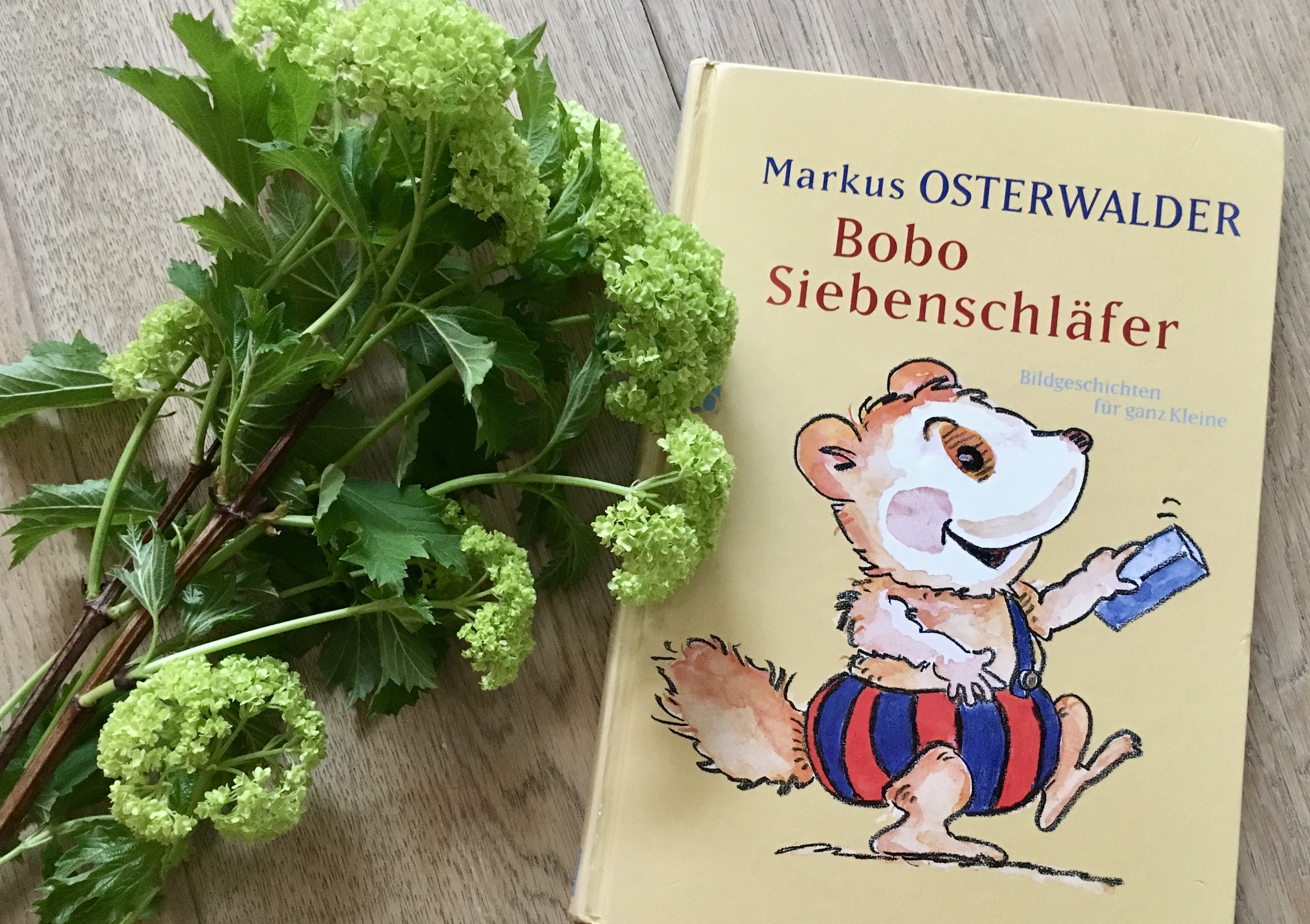 Bobo Siebenschläfer von Markus Osterwalder