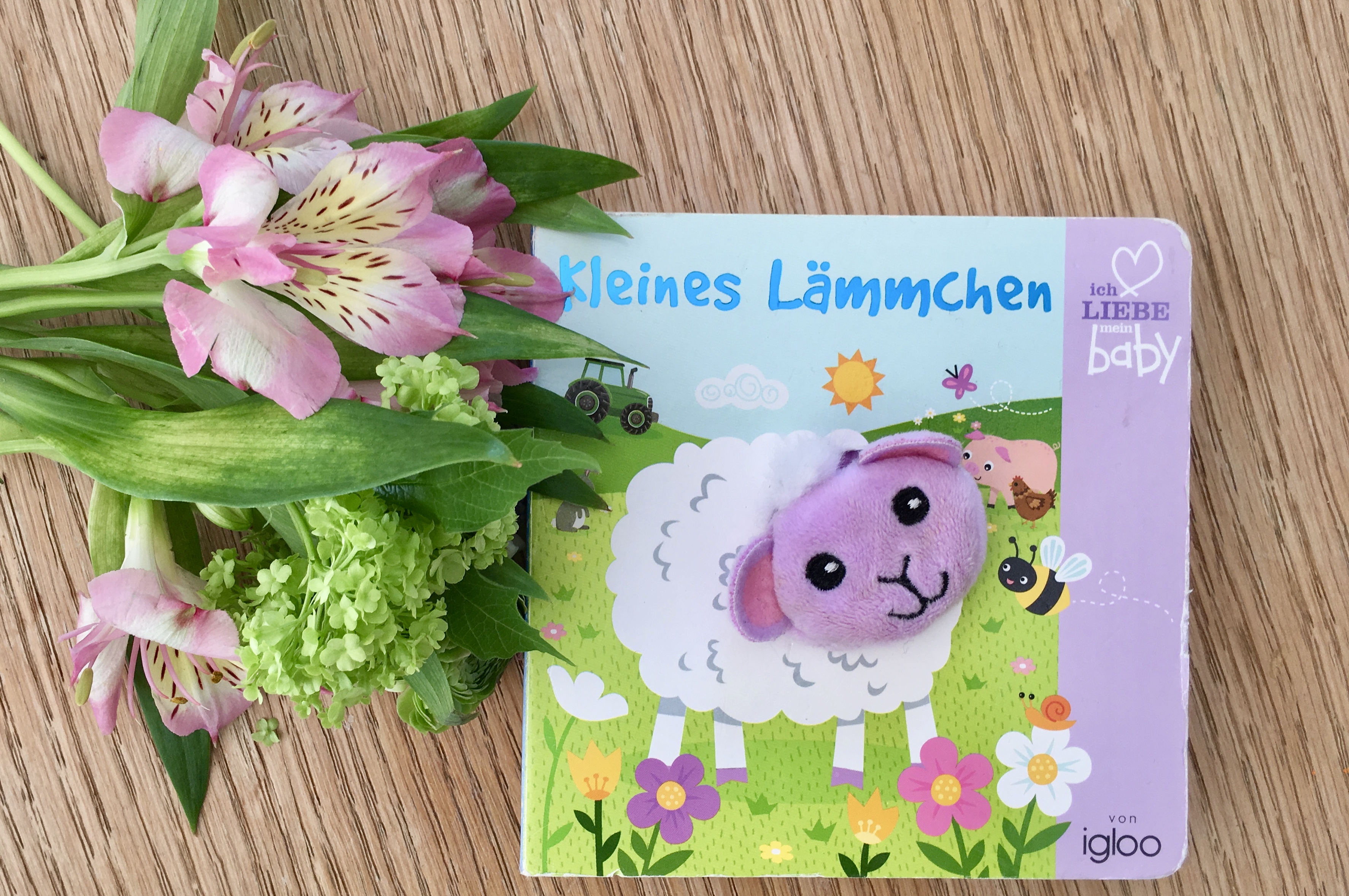 Kleines Lämmchen ein Fingerpuppen-Buch