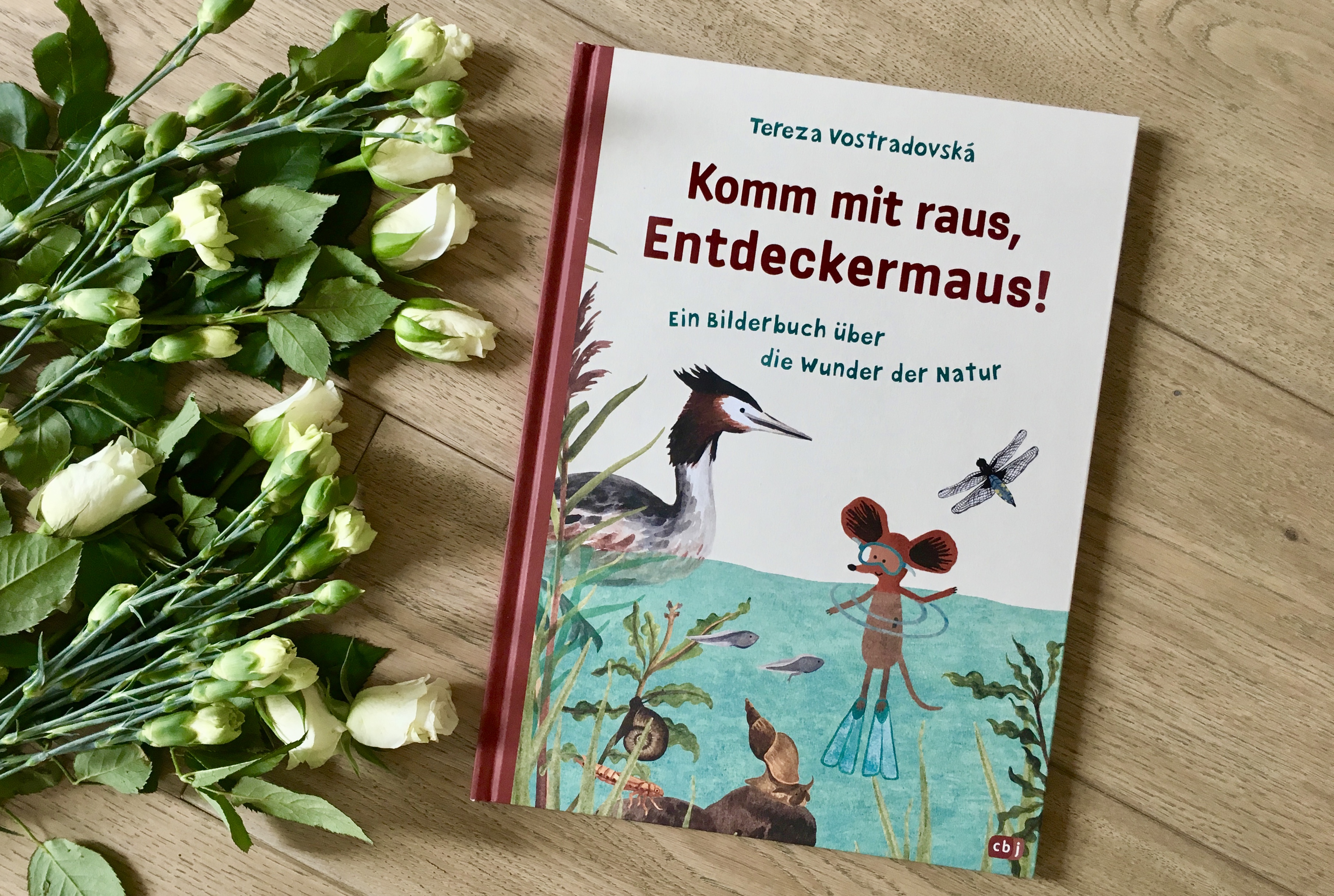 Komm' mit raus, Entdeckermaus! von Tereza Vostradovská