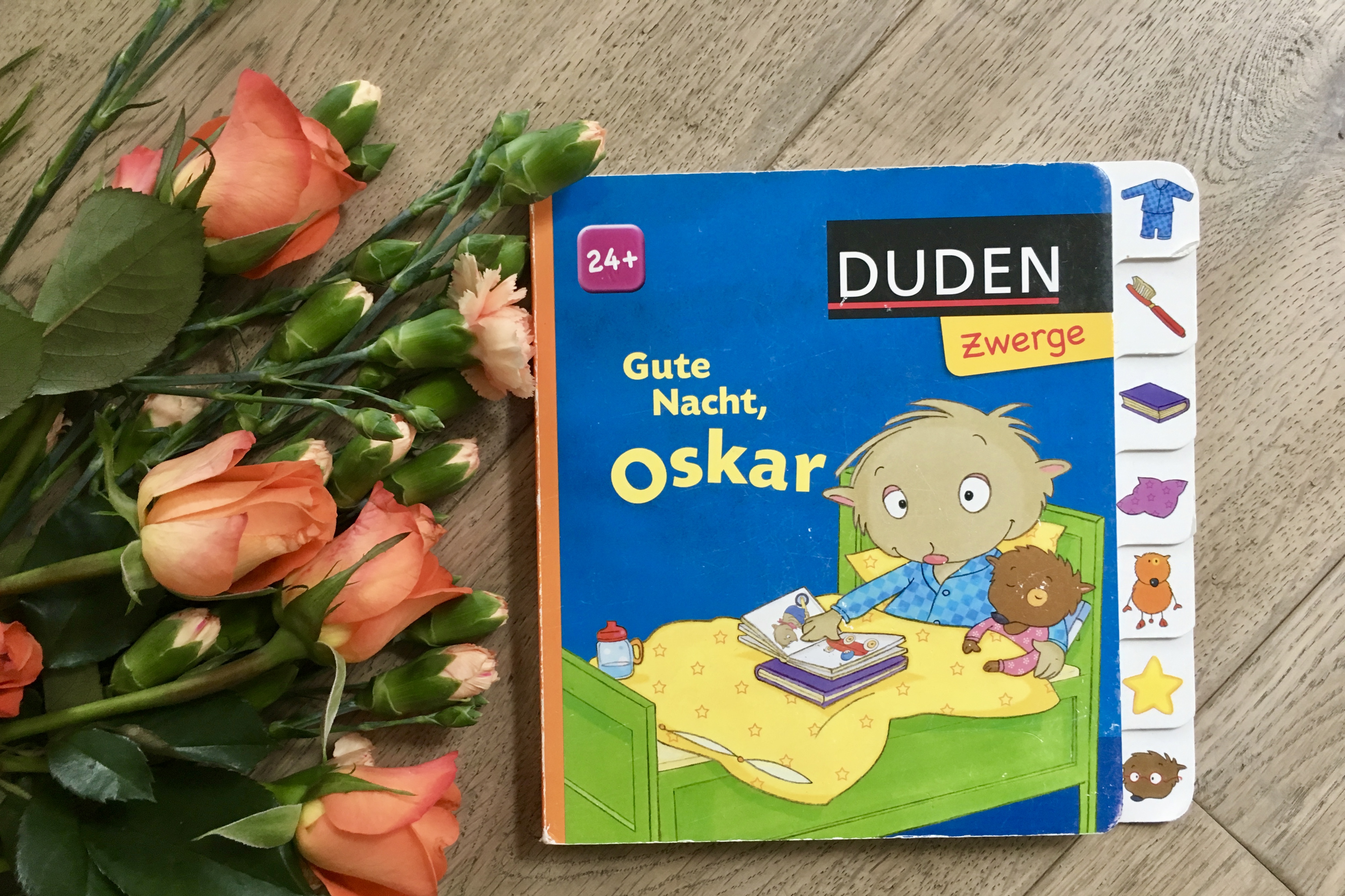 Gute Nacht, Oskar von Luise Holthausen und Sabine Büchner