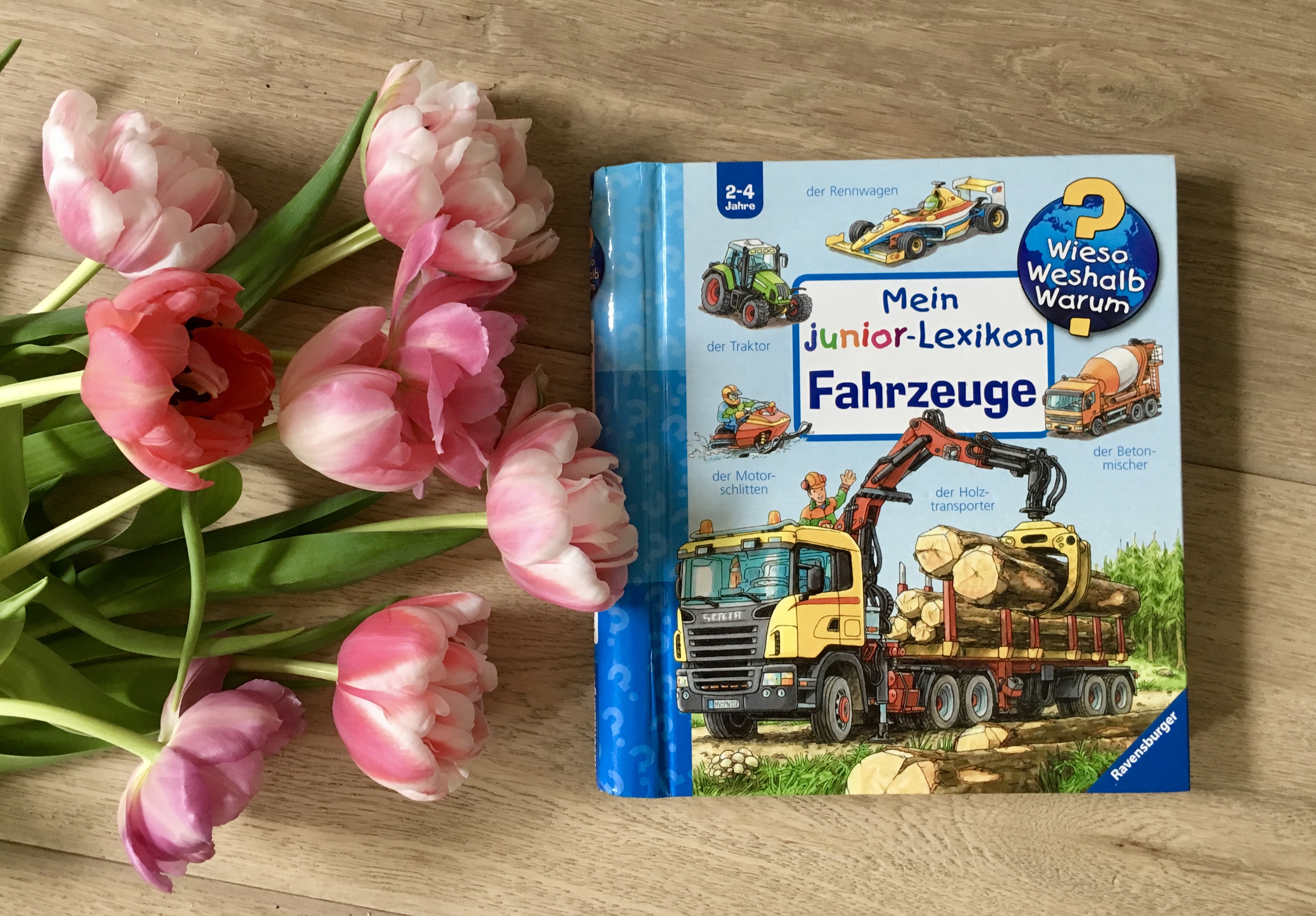 Mein junior-Lexikon: Fahrzeuge aus der Reihe Wieso? Weshalb? Warum? junior
von Peter Nieländer (Text und Illustration)