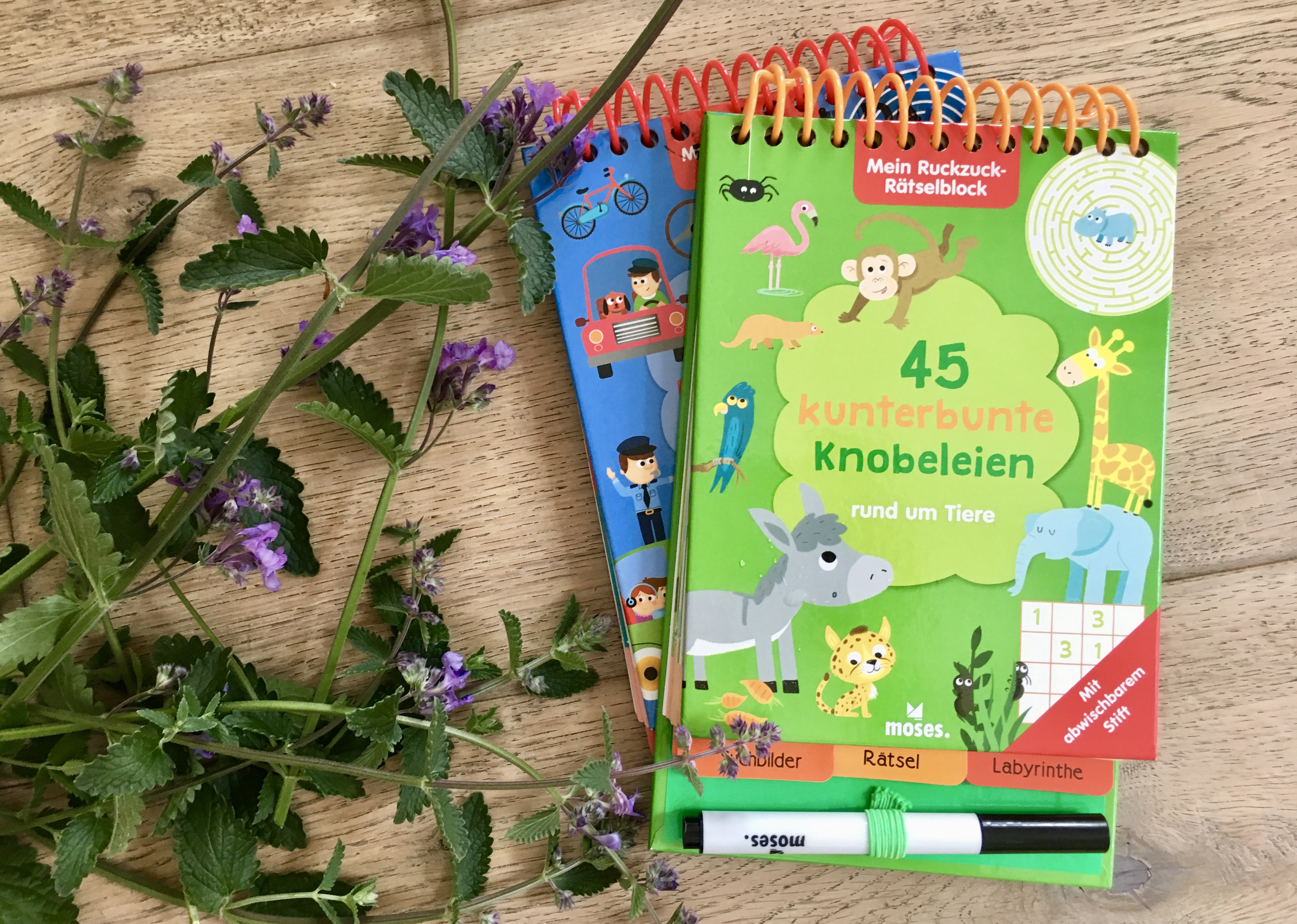 45 kunterbunte Knobeleien