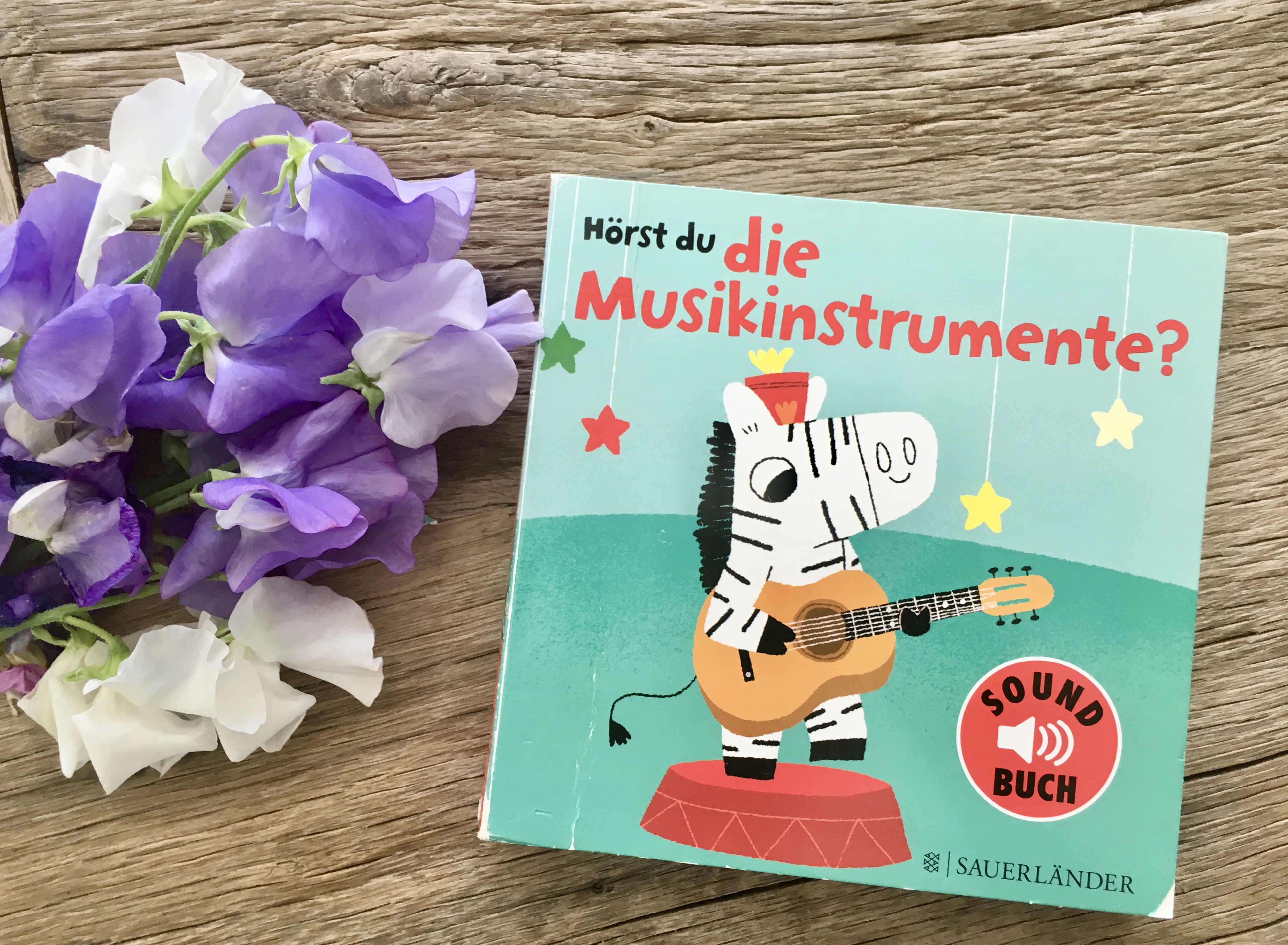 Hörst du die Musikinstrumente? von Marion Billet (Illustration)