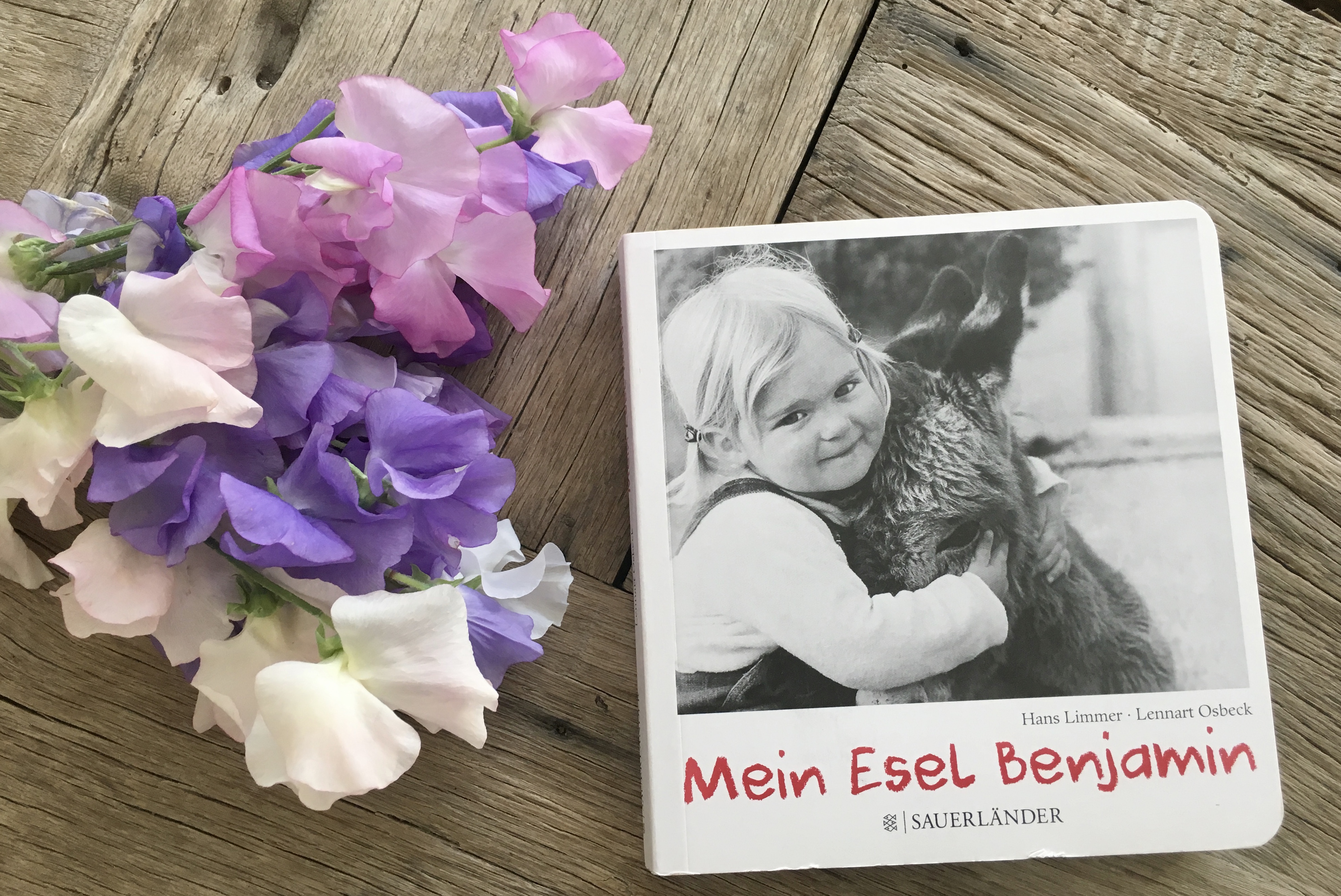 Mein Esel Benjamin von Hans Limmer und Lennart Osbeck (Fotos)