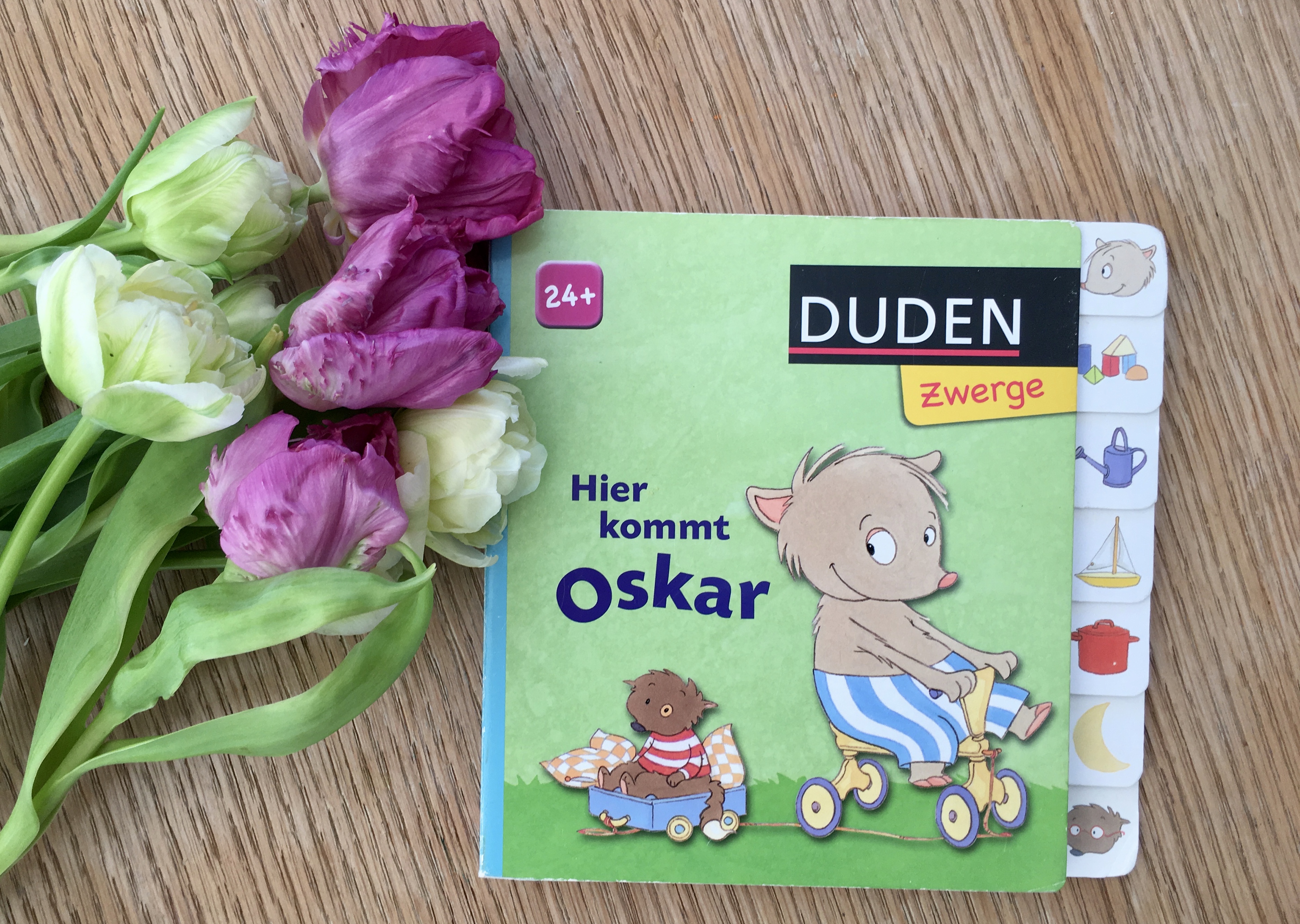 Hier kommt Oskar von Luise Holthausen und Sabine Büchner