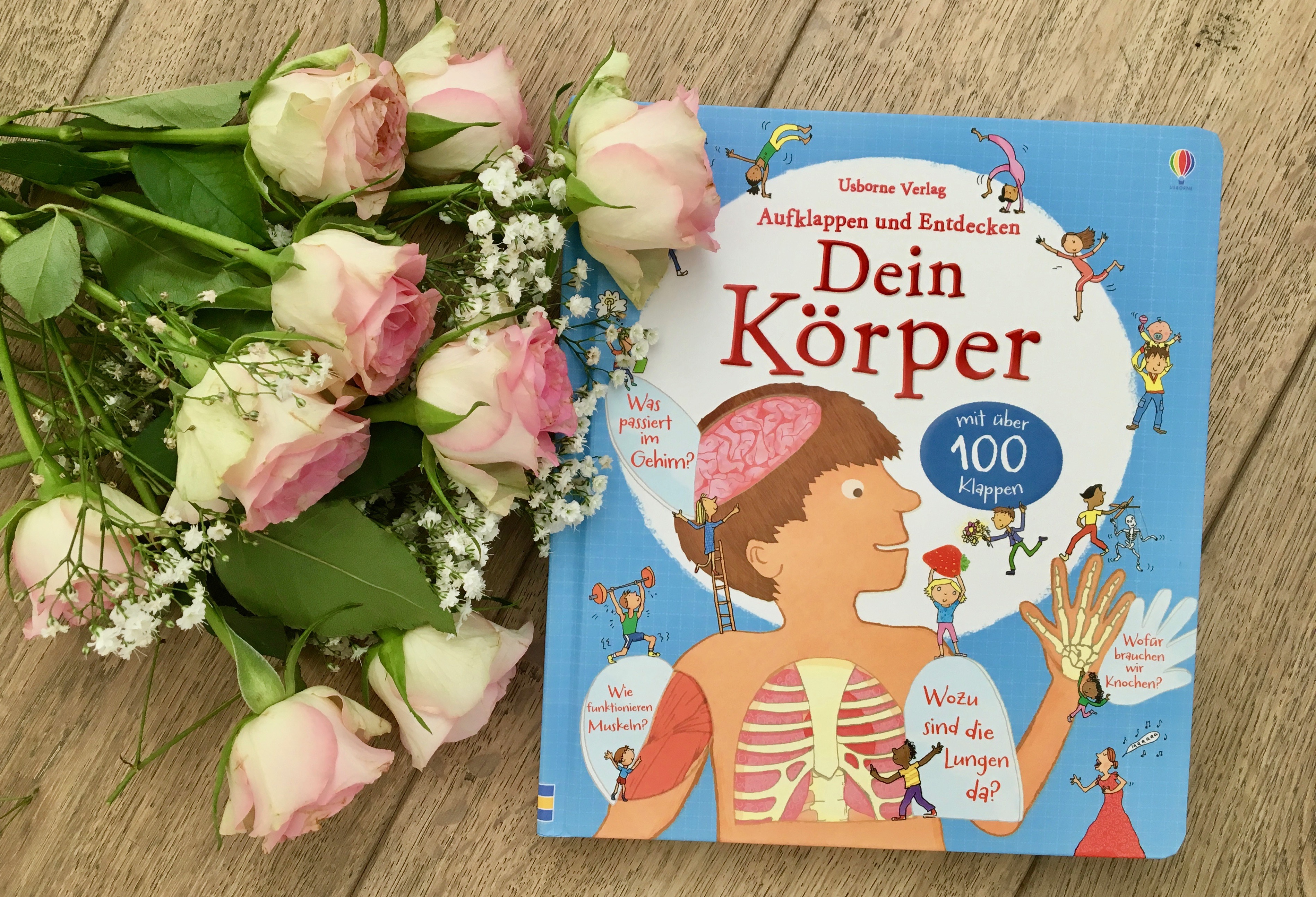 Dein Körper von Louie Stowell (Text) und Kate Leake (Illustration)