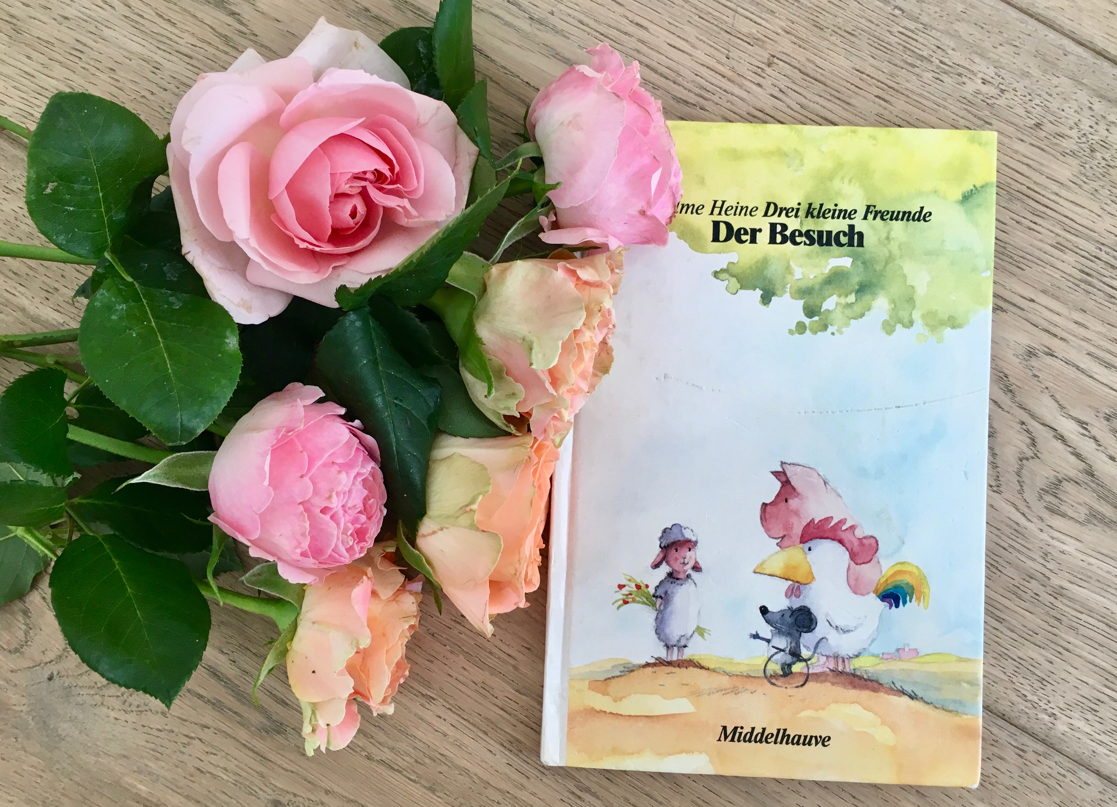 Drei kleine Freunde - Der Besuch von Helme Heine (Text und Illustration)