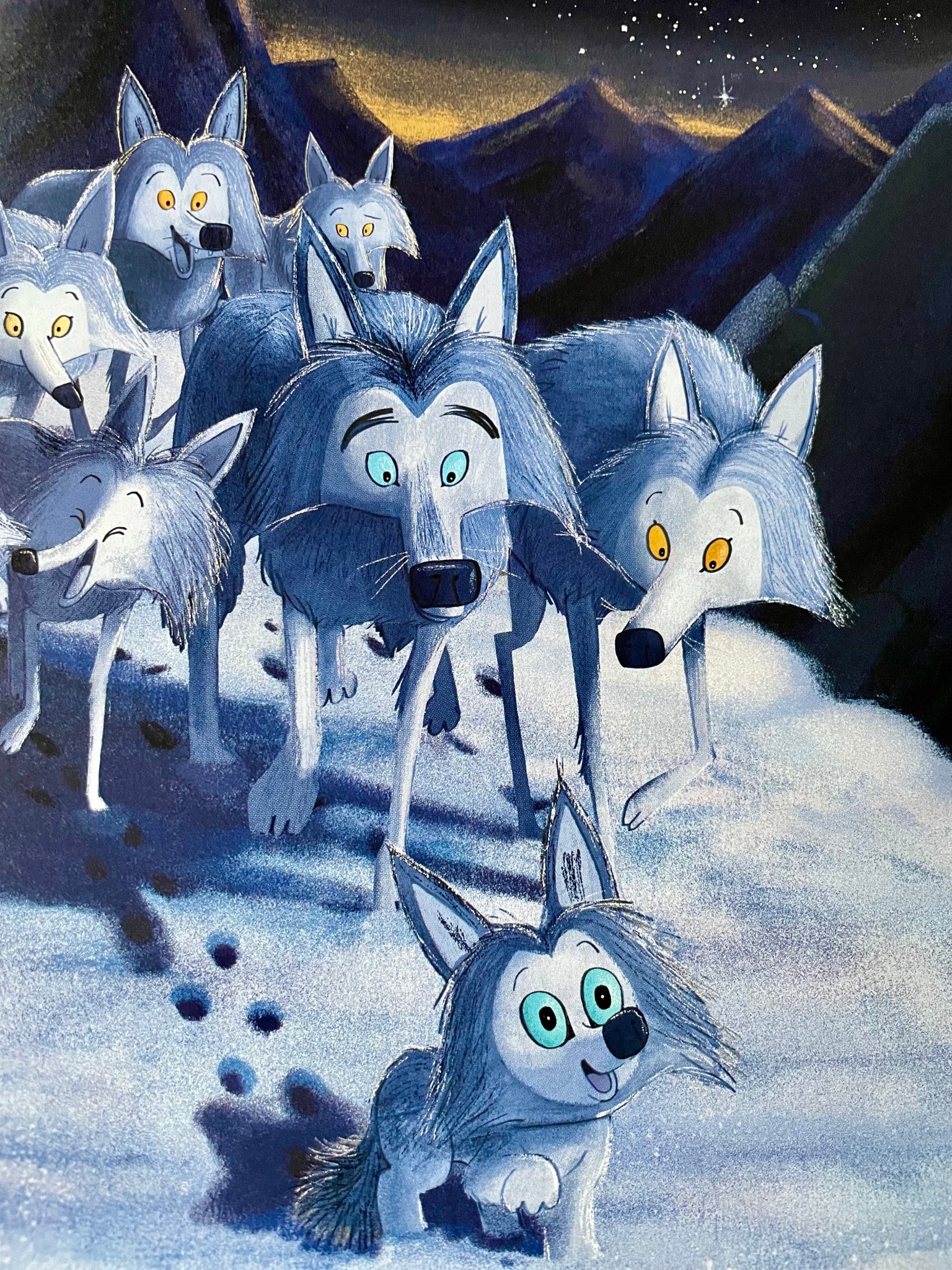 Kleiner Wolf In Weiter Welt