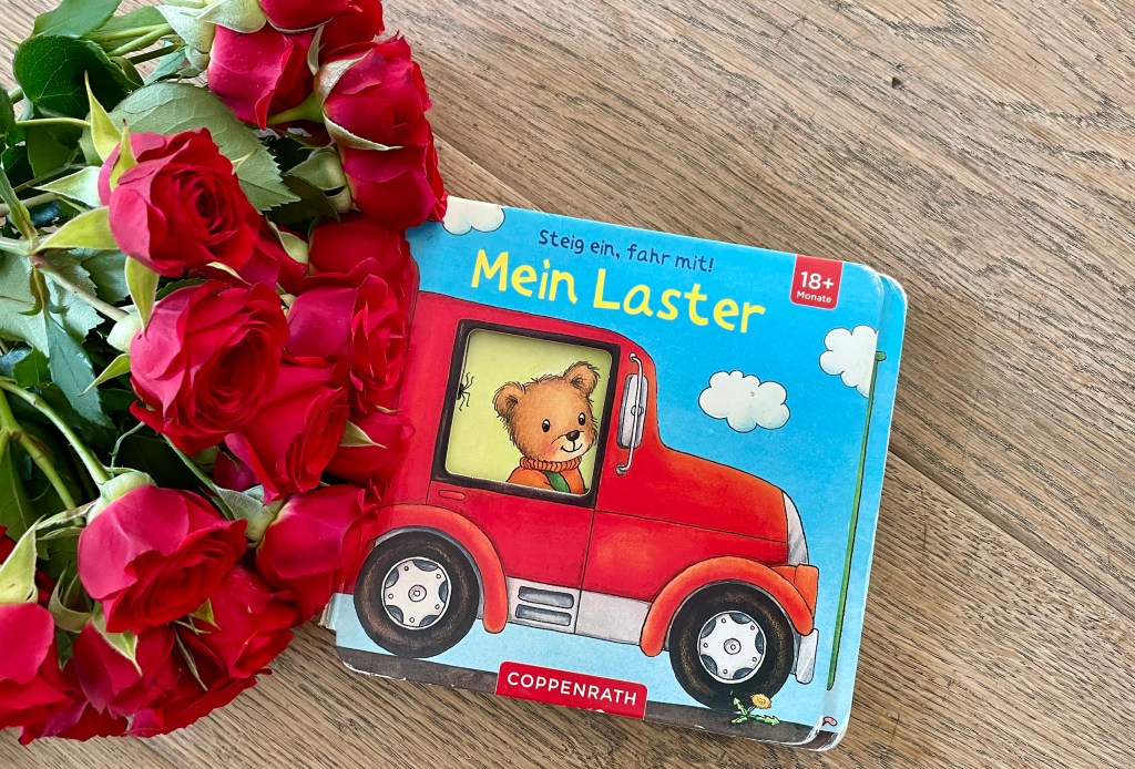 Mein Laster von Hans-Christian Schmidt (Text) und Marlis Peikert (Illustration)